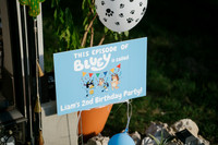 Liam's 2nd Birthday